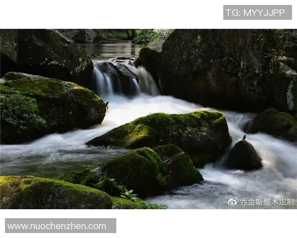 畅享大自然的无限魅力：十大必试户外活动带你探索野外极限之美