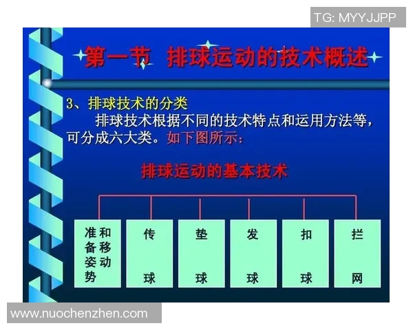 上海排球队选拔赛表现分析：团队配合与战术执行的深度解读