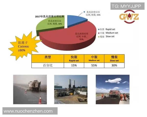 北京排球队边路渗透战术解析与实战应用探讨